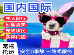 阿尔山伊尔施航空物流国际宠物托运 【国